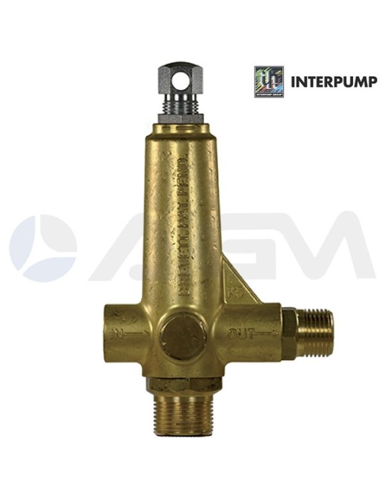 Interpump K5.3 Hochdruckreiniger Pumpe – Entlader Produktbild-Vorschau 2
