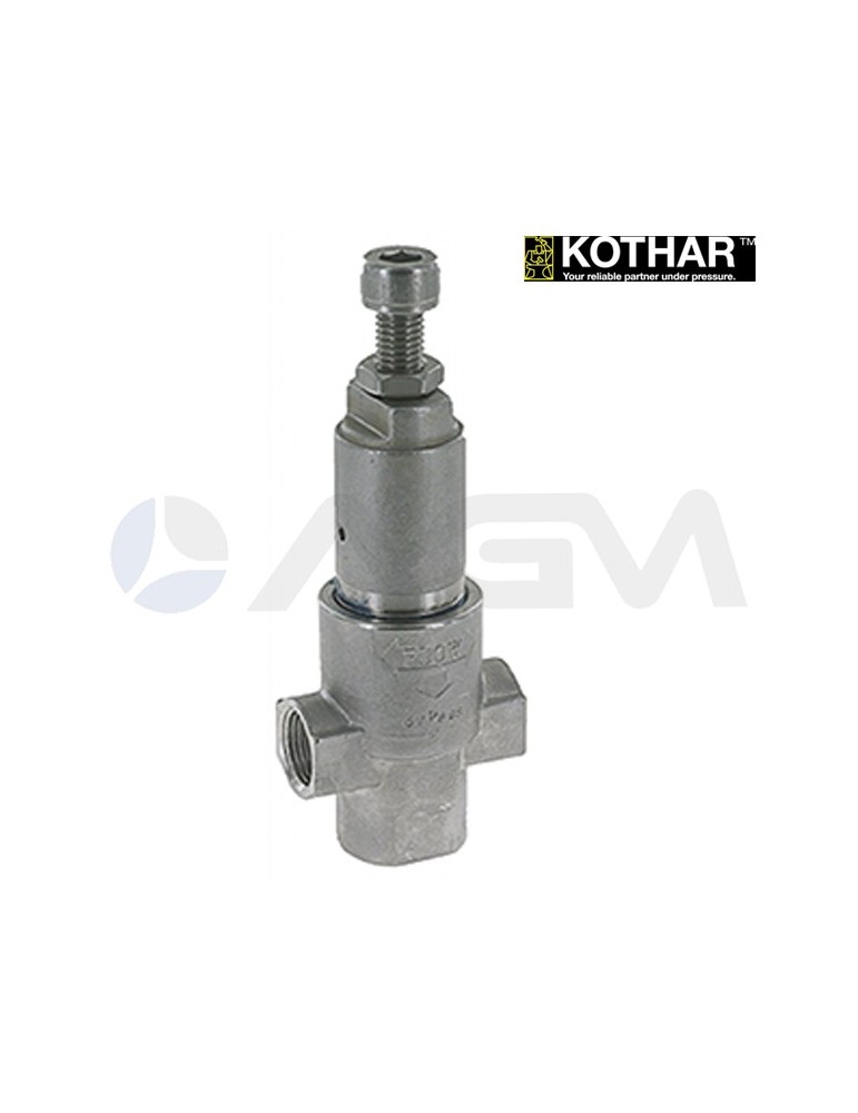 AXVS AISI 316L VÁLVULA DE SEGURIDAD.