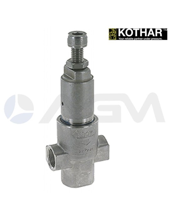 AXVS AISI 316L VÁLVULA DE SEGURIDAD.