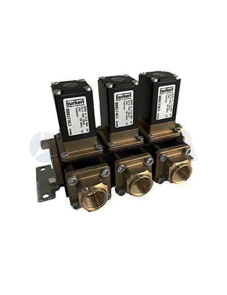 CONJUNTO BLOQUE 3 EV.BURKERT 287-24 VAC.