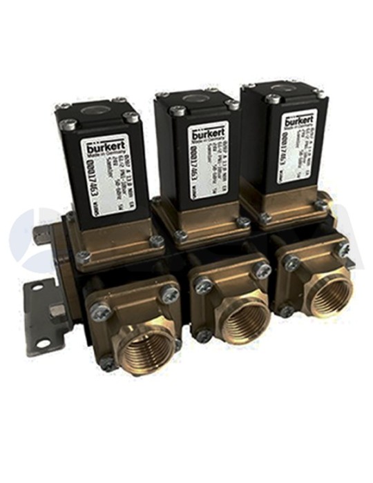 CONJUNTO BLOQUE 3 EV.BURKERT 287-24 VAC.