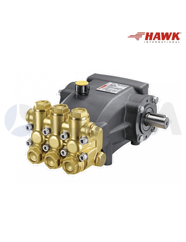 1.099-064.0 NPM1825R BOMBA HAWK SERIE NPM