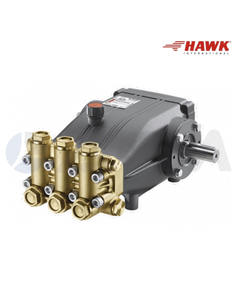 1.099-076.0 NLT3020IR BOMBA HAWK SERIE NLTI