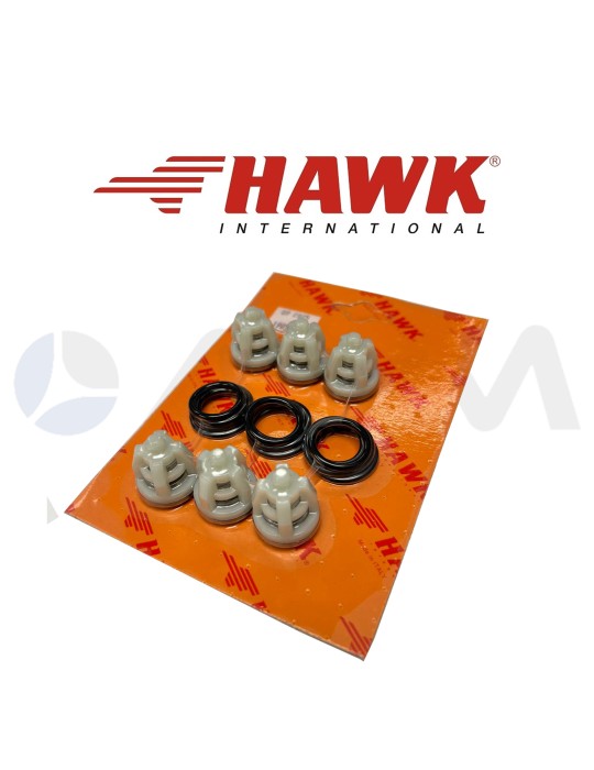1.905-687.0 KIT DE VÁLVULAS XLTI HAWK PUMPS.