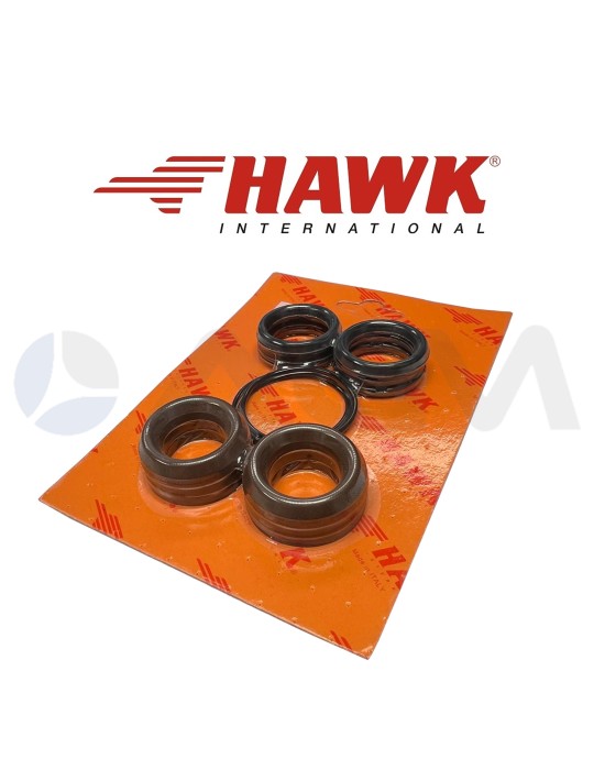 1.905-021.0 KIT JUNTAS DE AGUA Ø20 TPX HAWK PUMPS.
