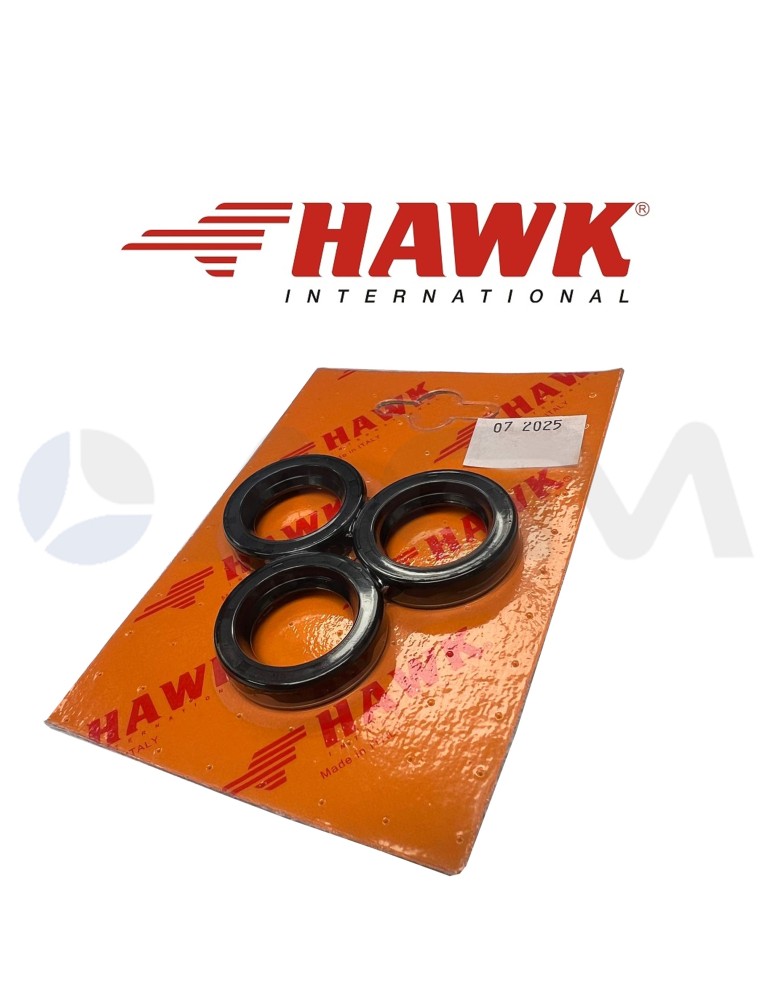 1.099-817.0 KIT DE RETENES DE ACEITE HAWK PUMPS.