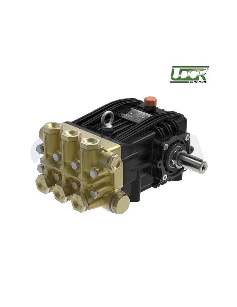 876100 BOMBA UDOR NK-C 60/250R