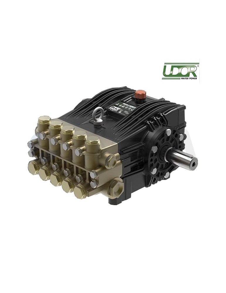 880200 BOMBA UDOR PENTA-C 55/250R