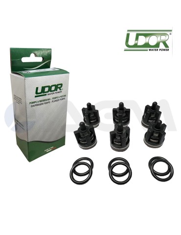 606103 KIT 3 VÁLVULAS UDOR PUMPS.