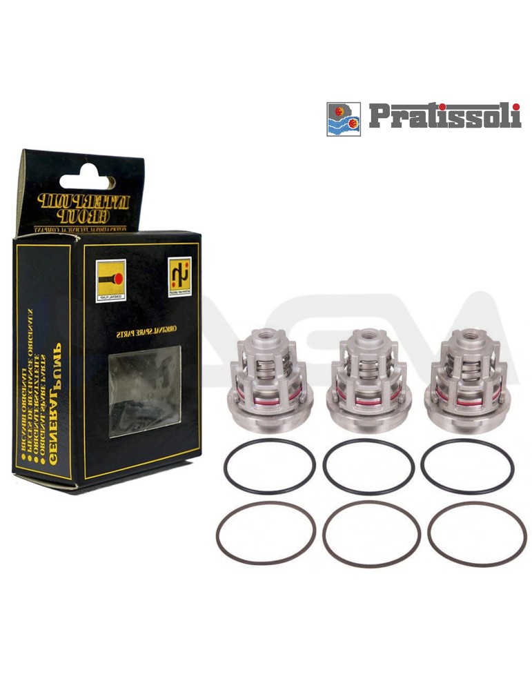KIT 2030 INTERPUMP/PRATISSOLI VÁLVULAS ASPIRACIÓN/PRESIÓN.
