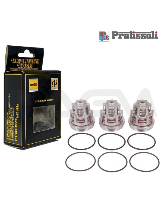 KIT 2030 INTERPUMP/PRATISSOLI VÁLVULAS ASPIRACIÓN/PRESIÓN.