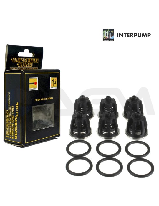 KIT 295 INTERPUMP VÁLVULAS PRESIÓN.