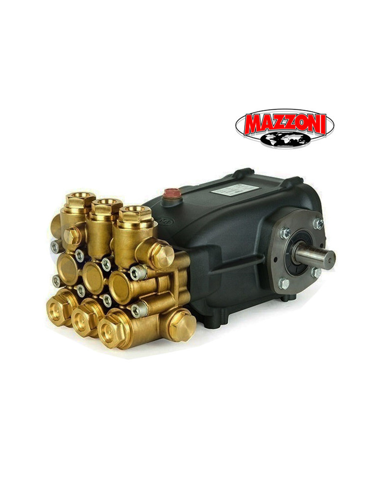 P3.030.003-1 BOMBA MAZZONI GM 25300R (Ø20) - 1450 RPM.