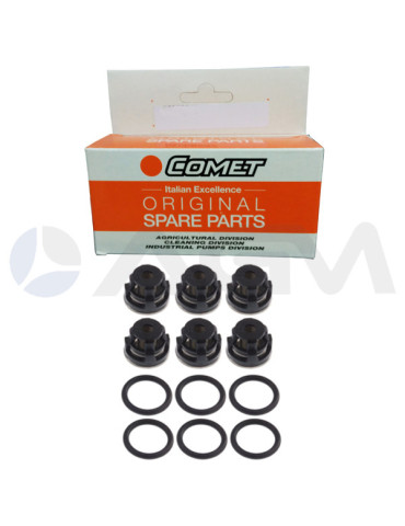 1220 0229 KIT DE VÁLVULAS TW COMET PUMPS.