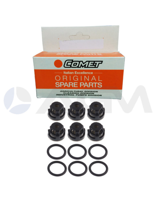 1220 0229 KIT DE VÁLVULAS TW COMET PUMPS.