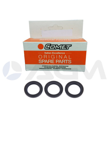 5019 0229 KIT DE RETENES DE ACEITE COMET PUMPS.