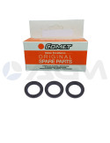 5019 0796 KIT DE RETENES DE ACEITE COMET PUMPS.