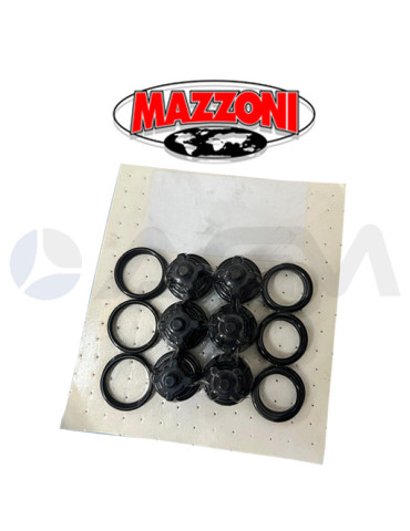 P9.001.004 KIT DE VÁLVULAS XM MAZZONI PUMPS.