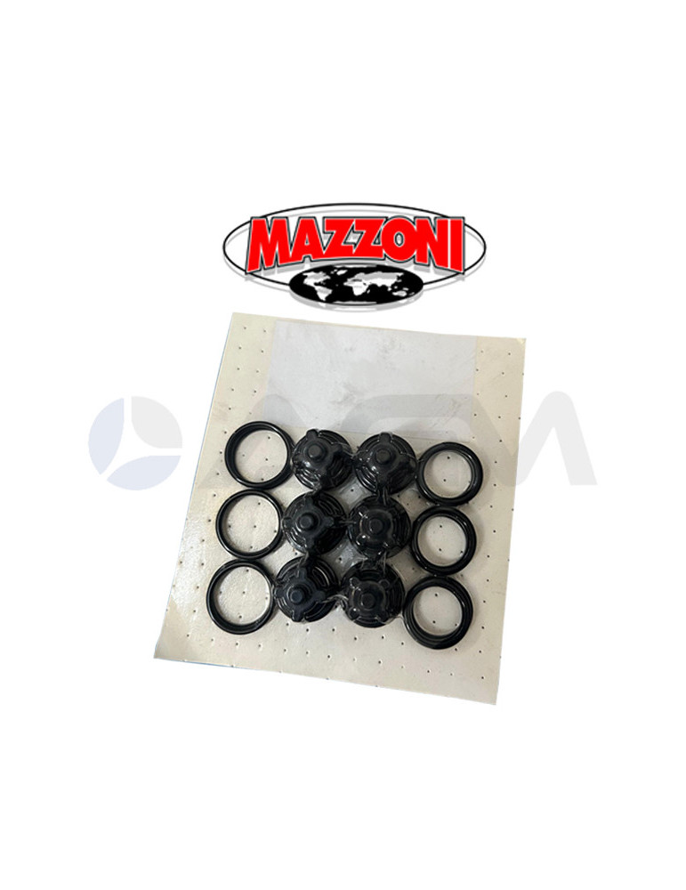 P9.001.012 KIT DE VÁLVULAS LMX MAZZONI PUMPS.