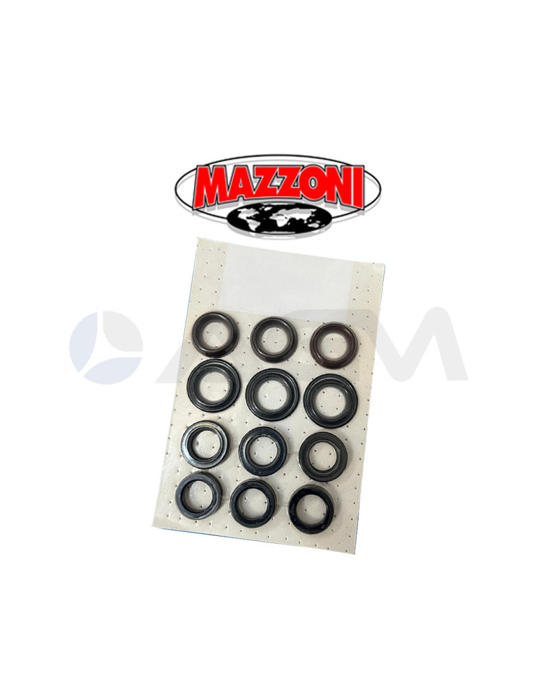 P9.003.011 KIT DE JUNTAS DE AGUA Ø28 MAZZONI PUMPS.