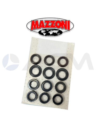 P9.003.017 KIT DE JUNTAS DE AGUA Ø20 MAZZONI PUMPS.