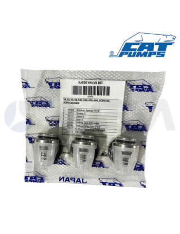 30820 KIT DE VÁLVULAS NBR CATPUMPS.