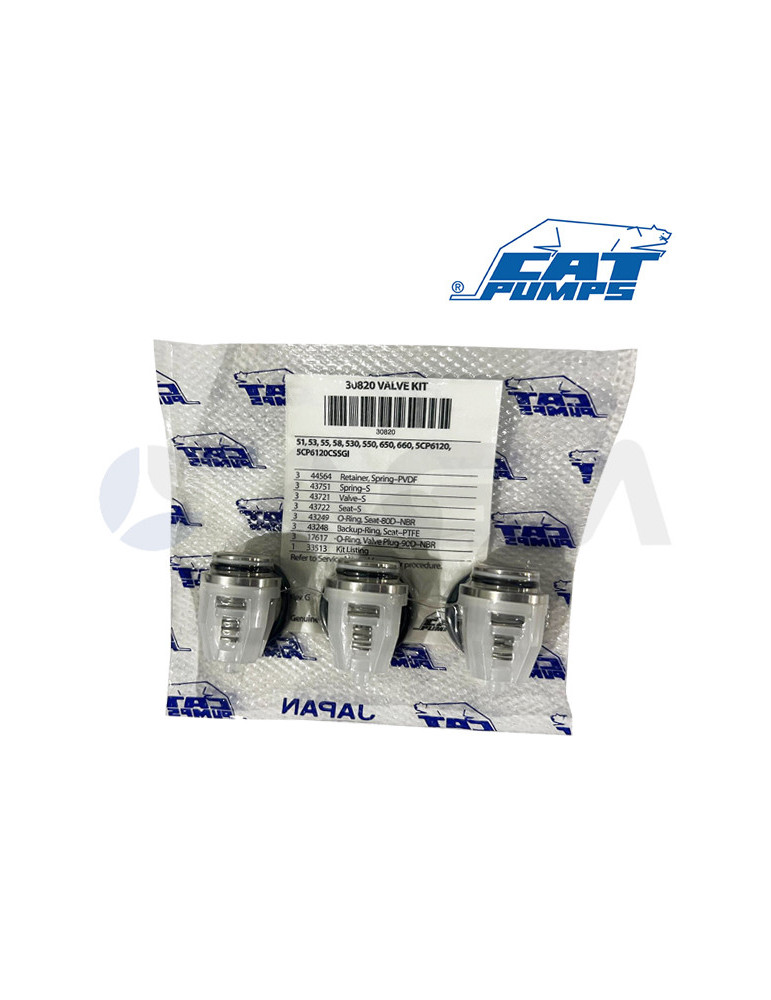 30820 KIT DE VÁLVULAS NBR CATPUMPS.