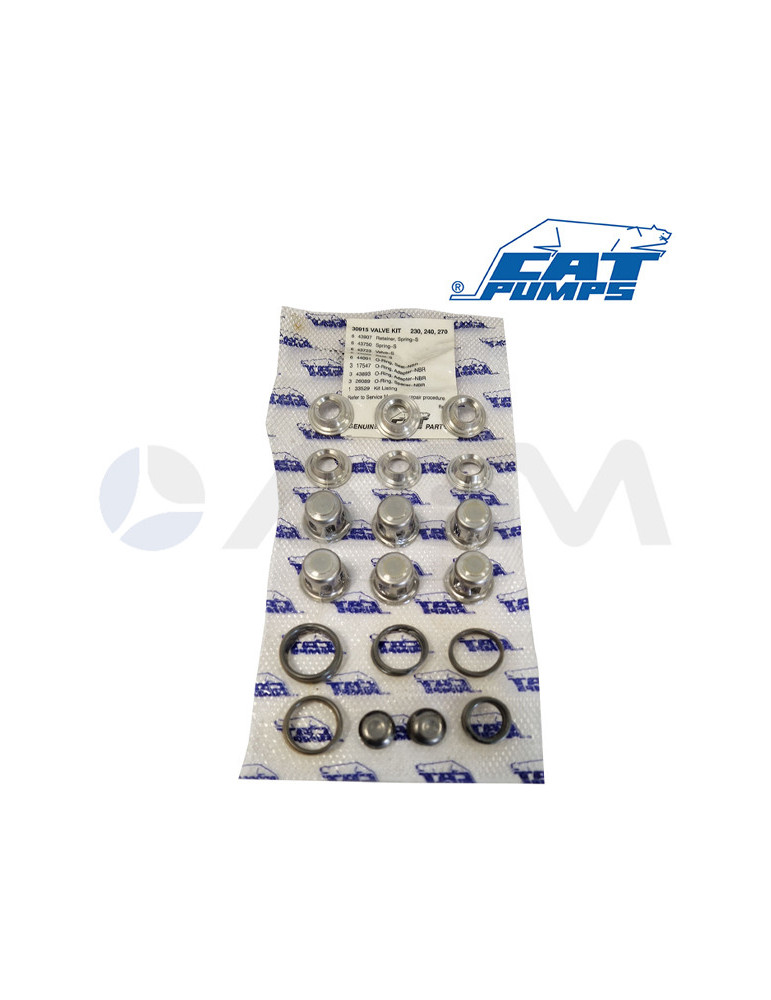 30915 KIT DE VÁLVULAS NBR CATPUMPS.