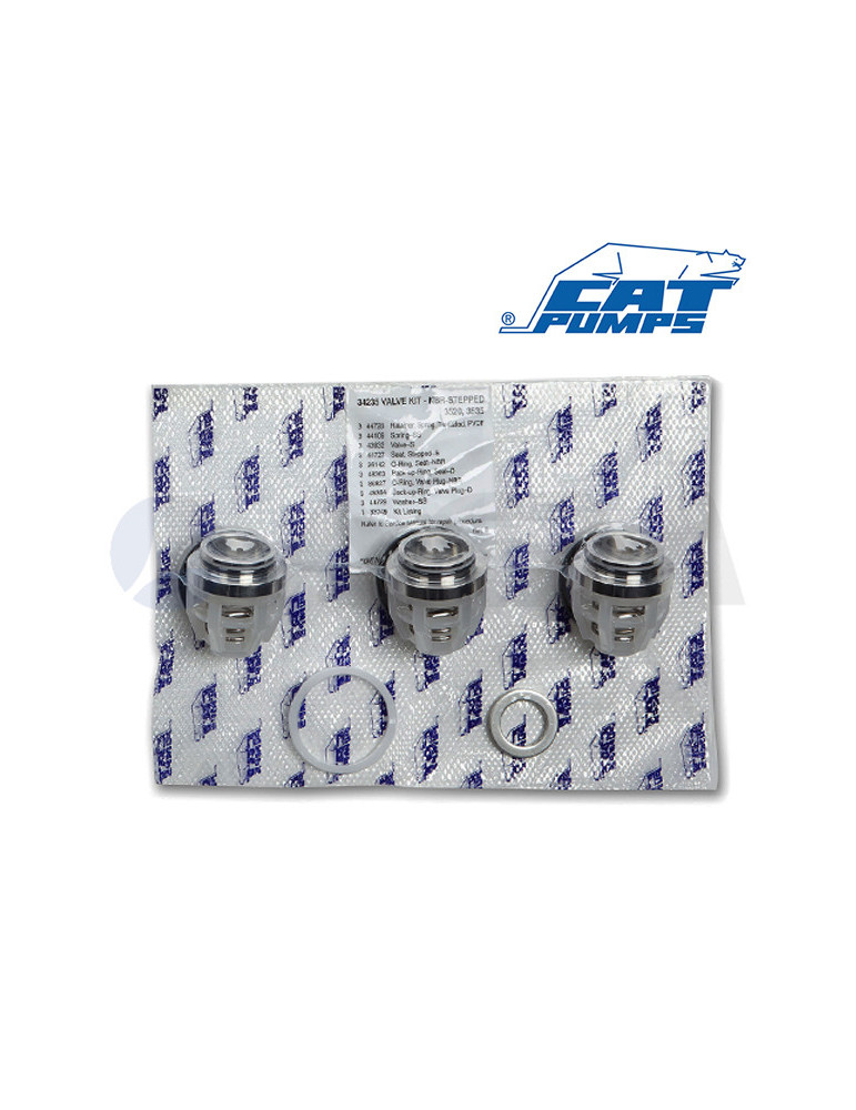 34235 KIT DE VÁLVULAS NBR CATPUMPS.