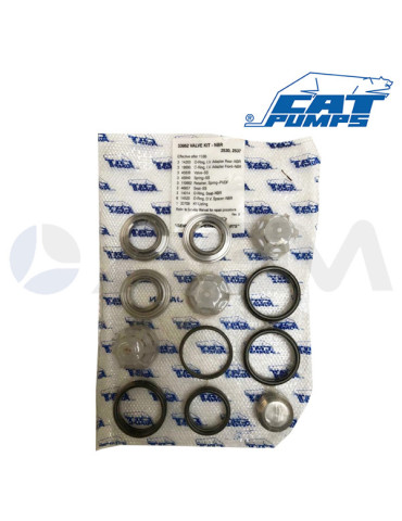 33952 KIT DE VÁLVULAS NBR CATPUMPS.