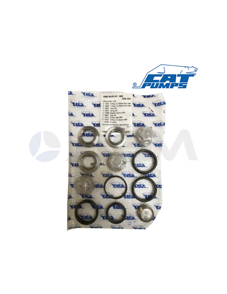 33952 KIT DE VÁLVULAS NBR CATPUMPS.