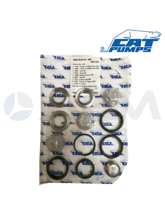 33952 KIT DE VÁLVULAS NBR CATPUMPS.