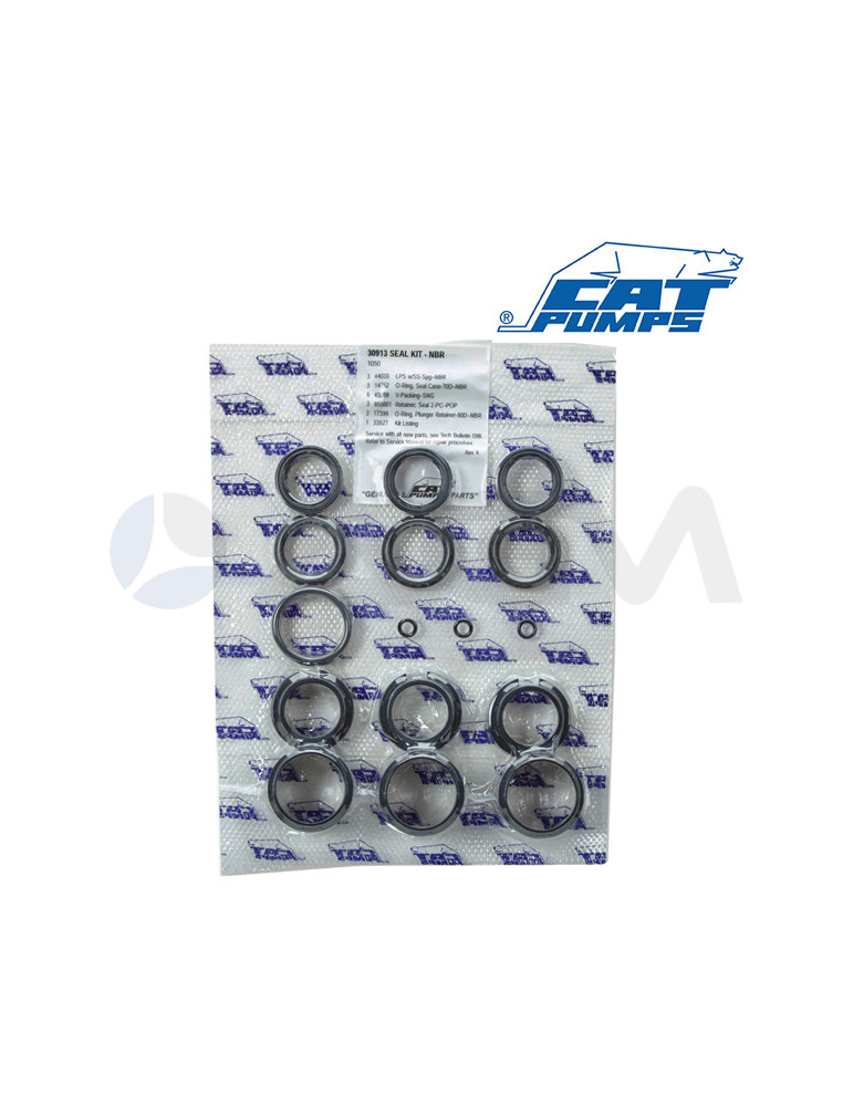 30952 KIT JUNTAS NBR CATPUMPS .