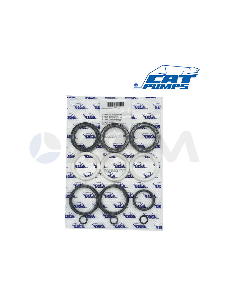 33234 KIT JUNTAS NBR CATPUMPS .