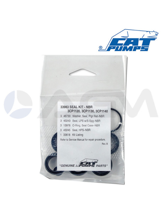 33983 KIT JUNTAS NBR CATPUMPS.