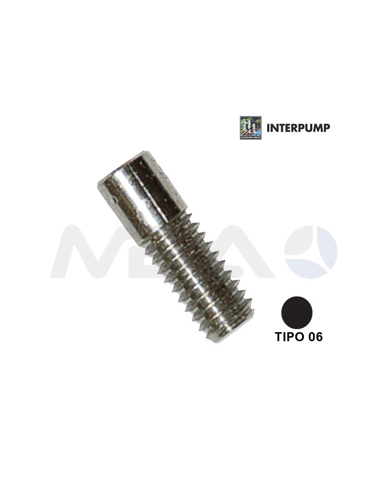 BOQUILLA INTERPUMP 160 (T.06) P/MULTIREG-NEGRO.