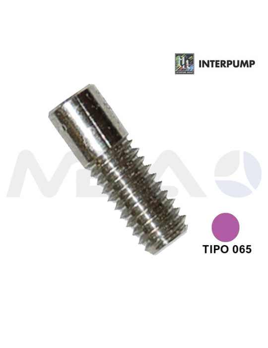 BOQUILLA INTERPUMP 165 (T.065) P/MULTIREG-VIOLETA.