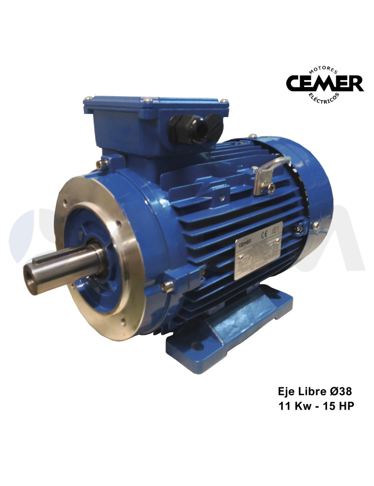 MOTOR ELÉCTRICO EJE LIBRE Ø38 TRIFÁSICO- 11KW (15HP).
