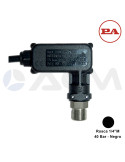 29.0035.30 PR16 INOX PRESOSTATO-1/4"M-40 BAR (NEGRO).