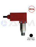 29.0010.00 PR1 600 BAR PRESOSTATO-3/8"M-40 BAR (NEGRO).